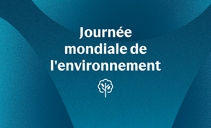 Présentation et lancement de la 4G box Bouygues Telecom à Neuville de Poitou